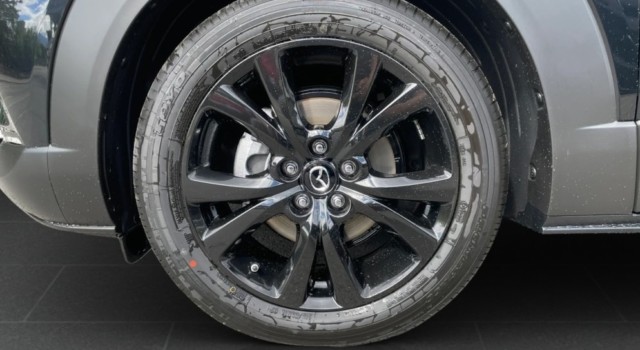 MAZDA CX-30 SKYACTIV-X 186 M Hybrid Homura AWD AT
