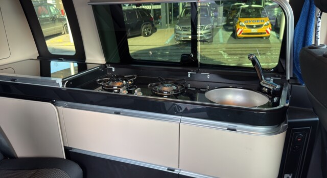 MERCEDES-BENZ MARCO POLO 250 d 4M A