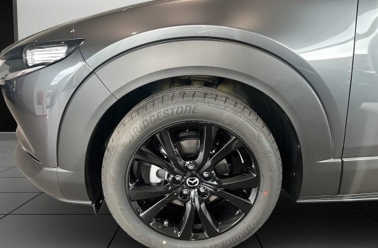 MAZDA CX-30 X 186 Homura AWD AT